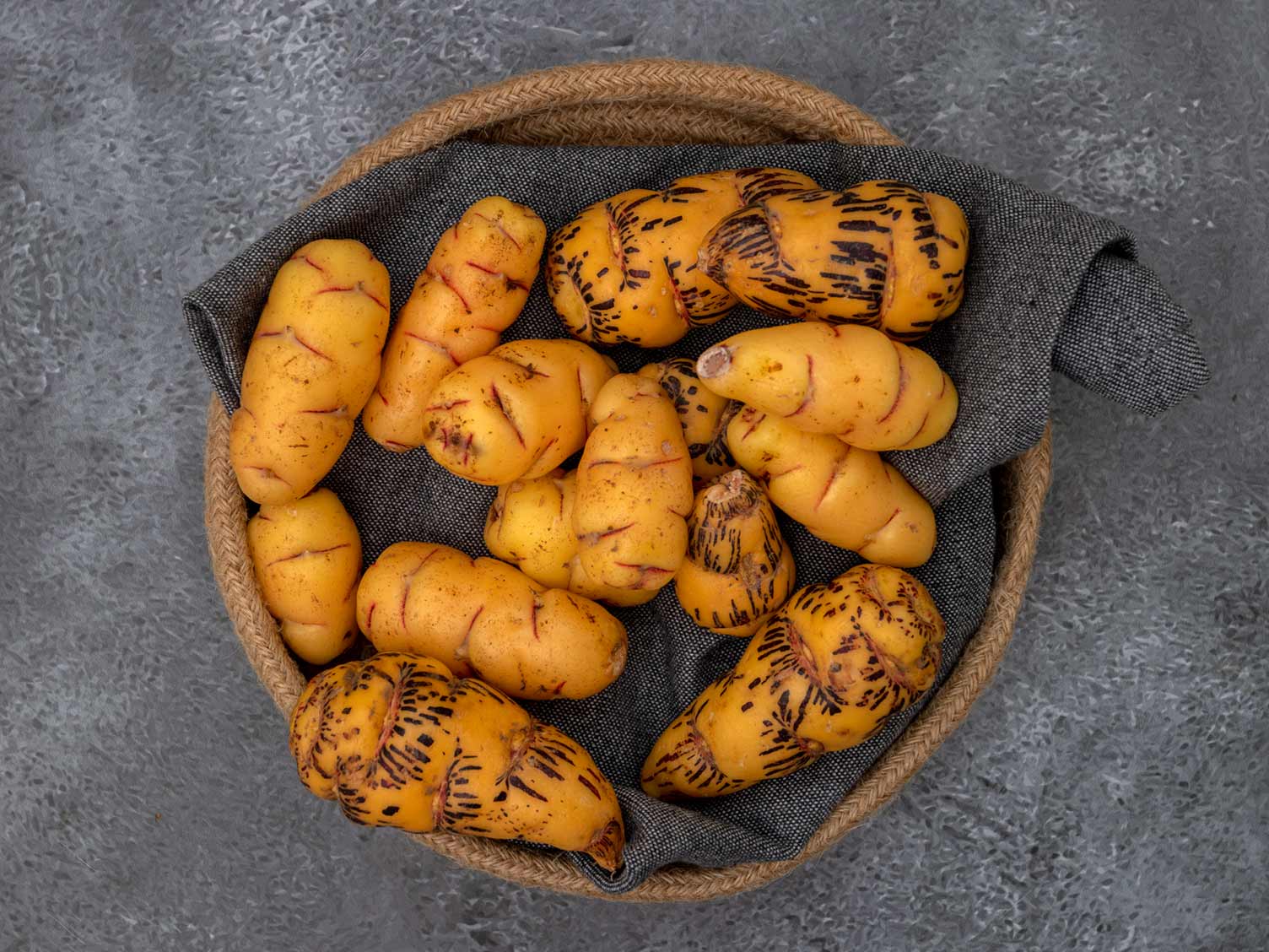 fresh-oca.jpg Fresh oca vegetable
