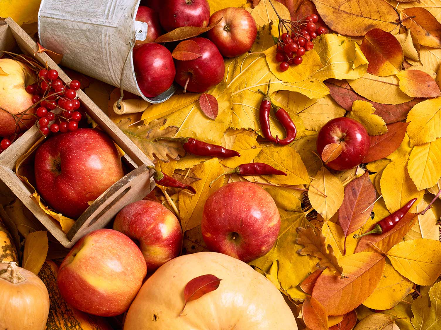 havrvestime-crops-october.jpg Harvestime of crops in October