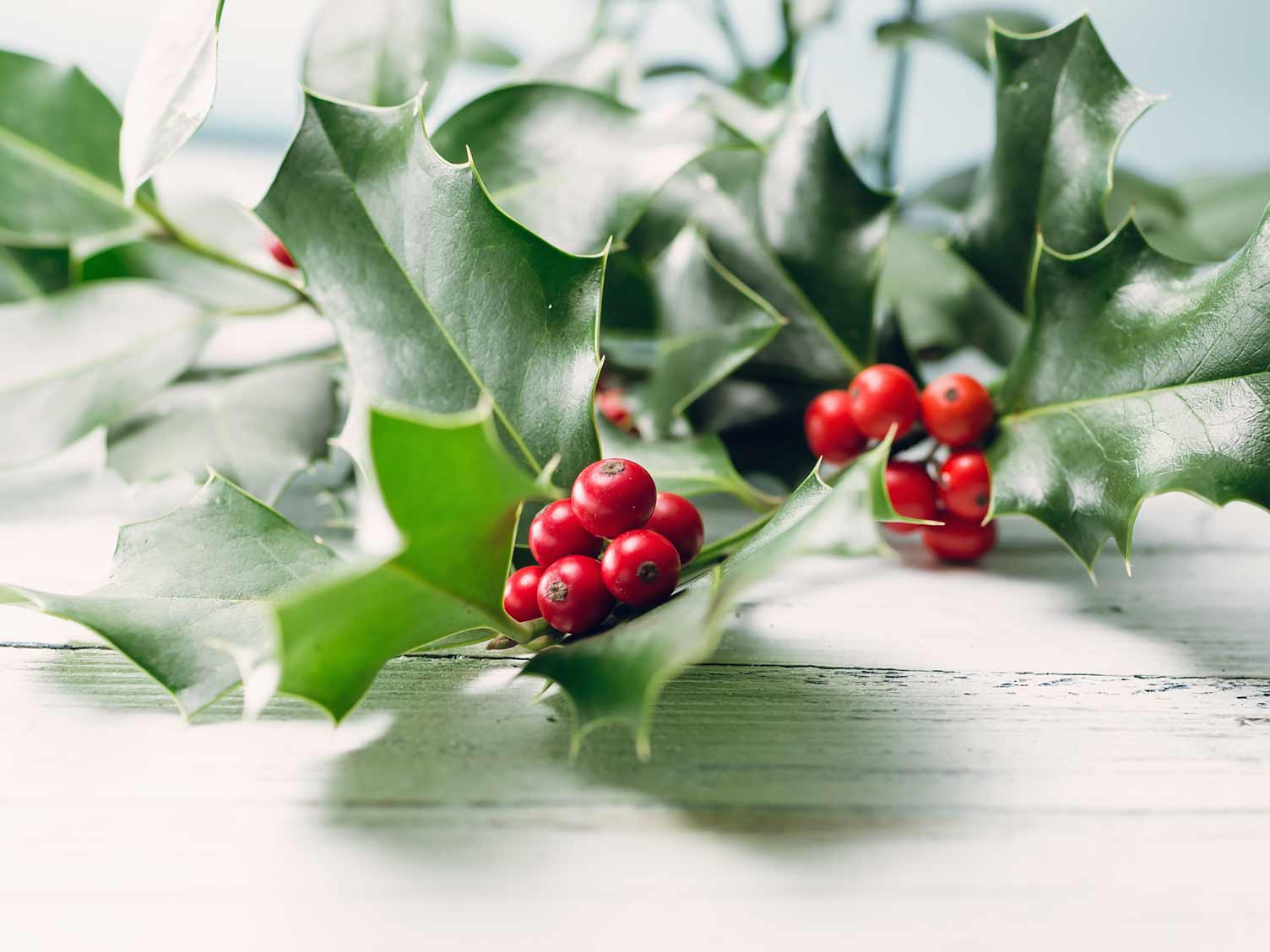 holly-and-berries-decoration.jpg Holly and berries Christmas decorations