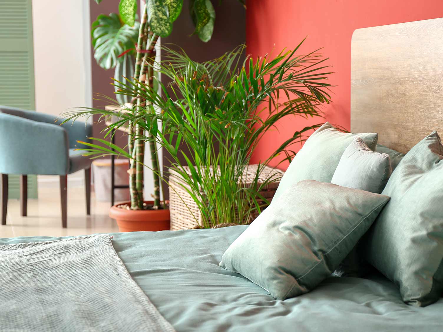 houseplants-in-the-bedroom.jpg Houseplants in the bedroom