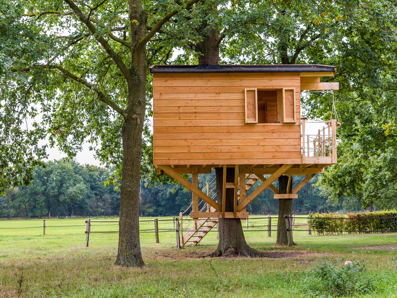 large-garden-treehouse.jpg Large treehouse in garden