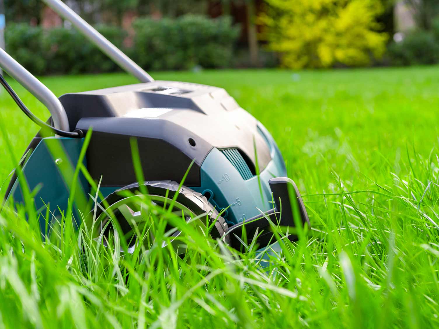 lawn-scarifier.jpg Lawn scarifier machine in use