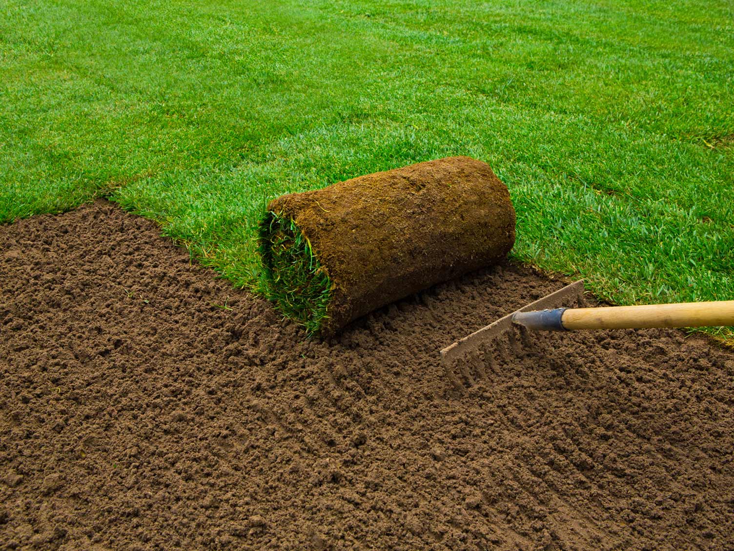 laying-out-rolls-of-turf.jpg Laying rolls of turf to make a new lawn