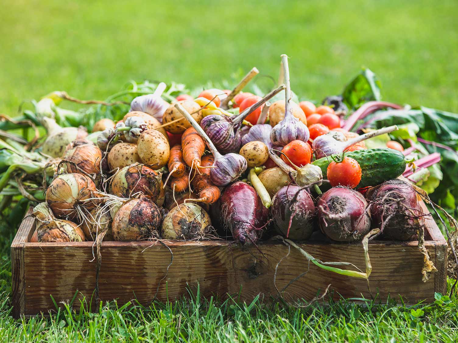 may-harvested-crops-in-pallet.jpg May crops