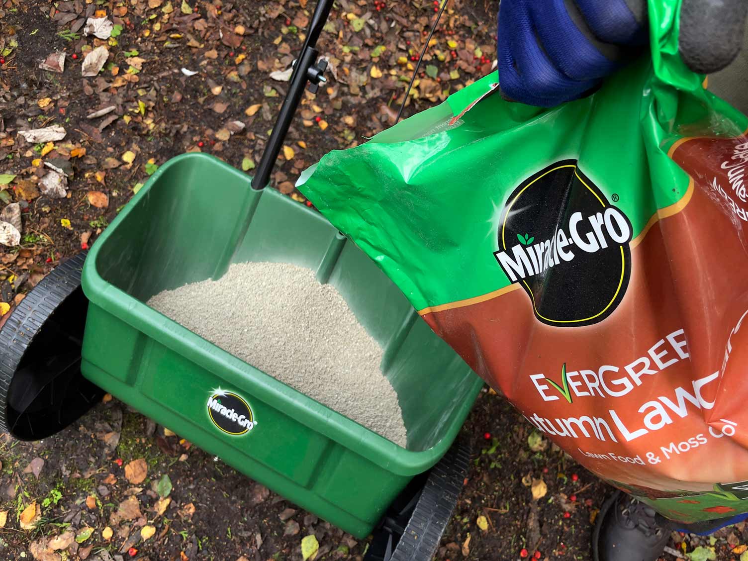 miracle-gro-autumn-lawn-care-in-lawn-spreader.jpg Miracle-Gro EverGreen Autumn Lawn Care in a lawn spreader