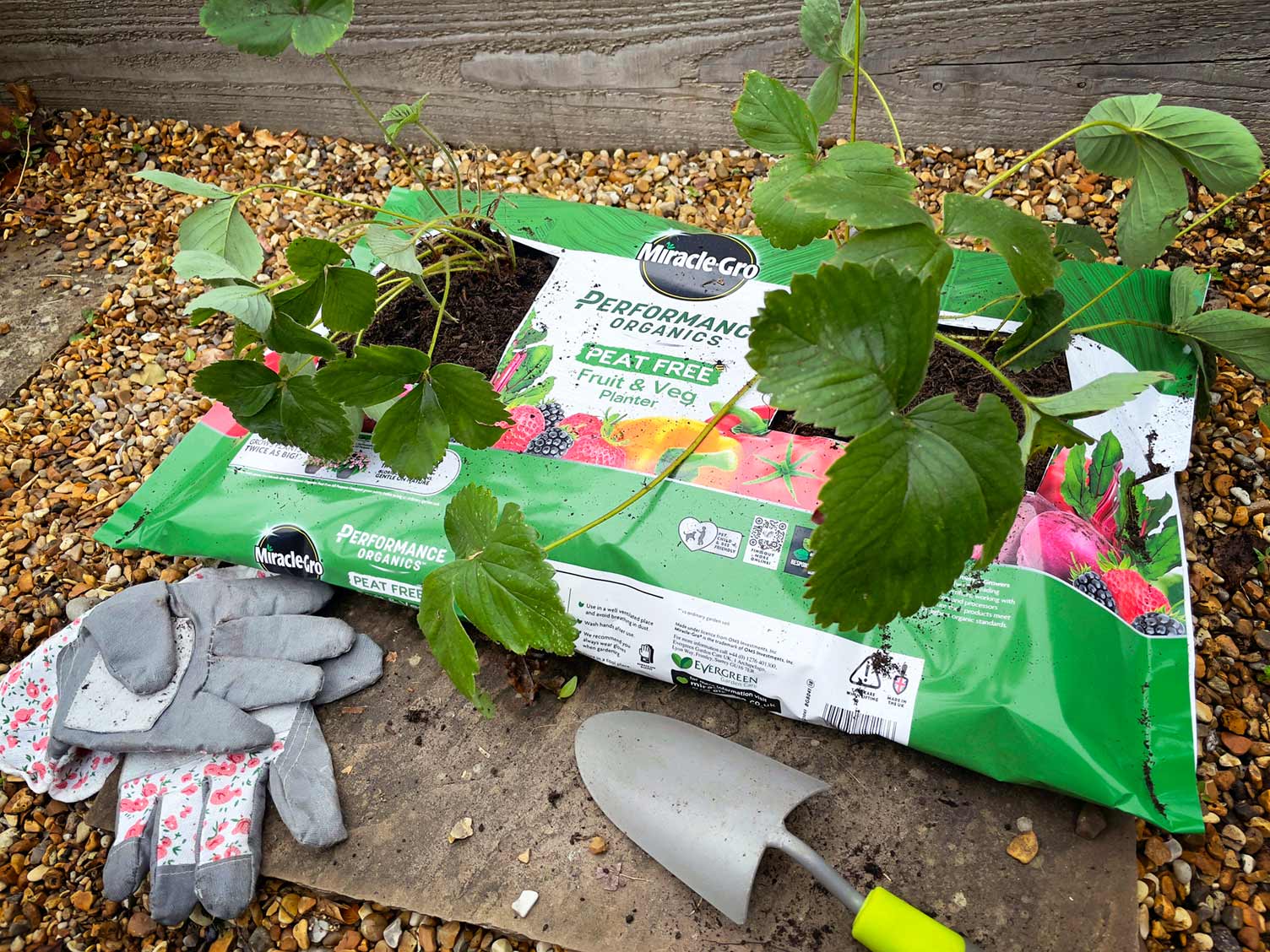 miracle-gro-peat-free-performance-organics-fruit-veg-planter-in-use.jpg Gro-bag in use
