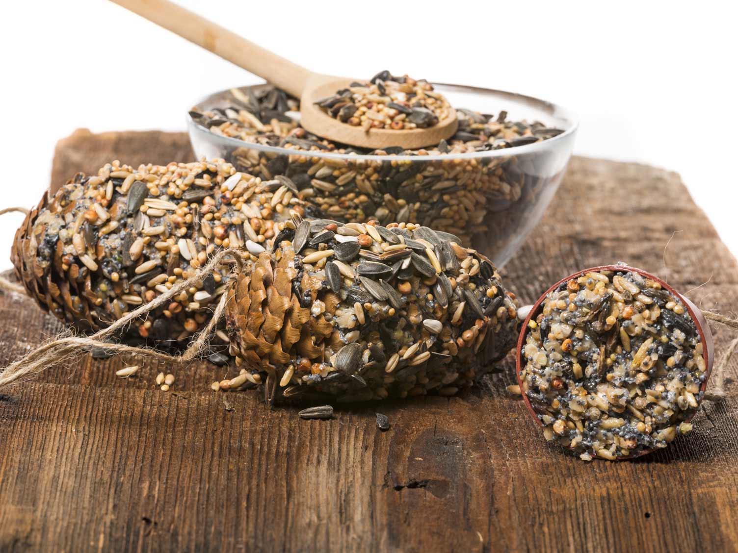 pine-cone-bird-feeders.jpg Pine cone bird feeders