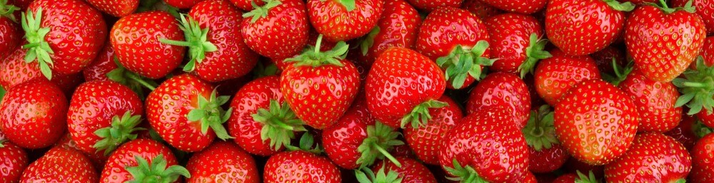 strawberries.jpg truskawki