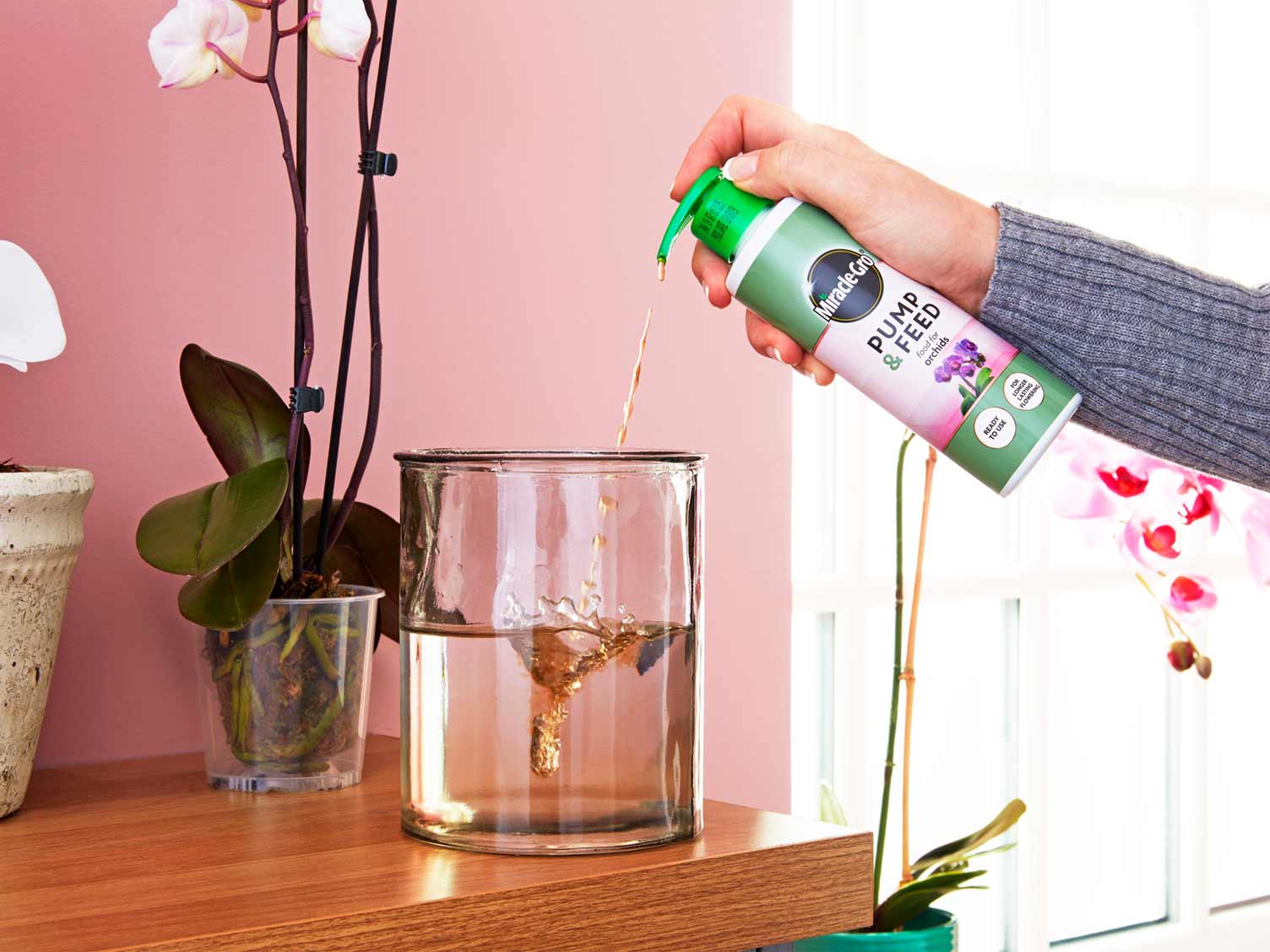 watering-orchids-using-miracle-gro-pt1.jpg Watering orchids part one