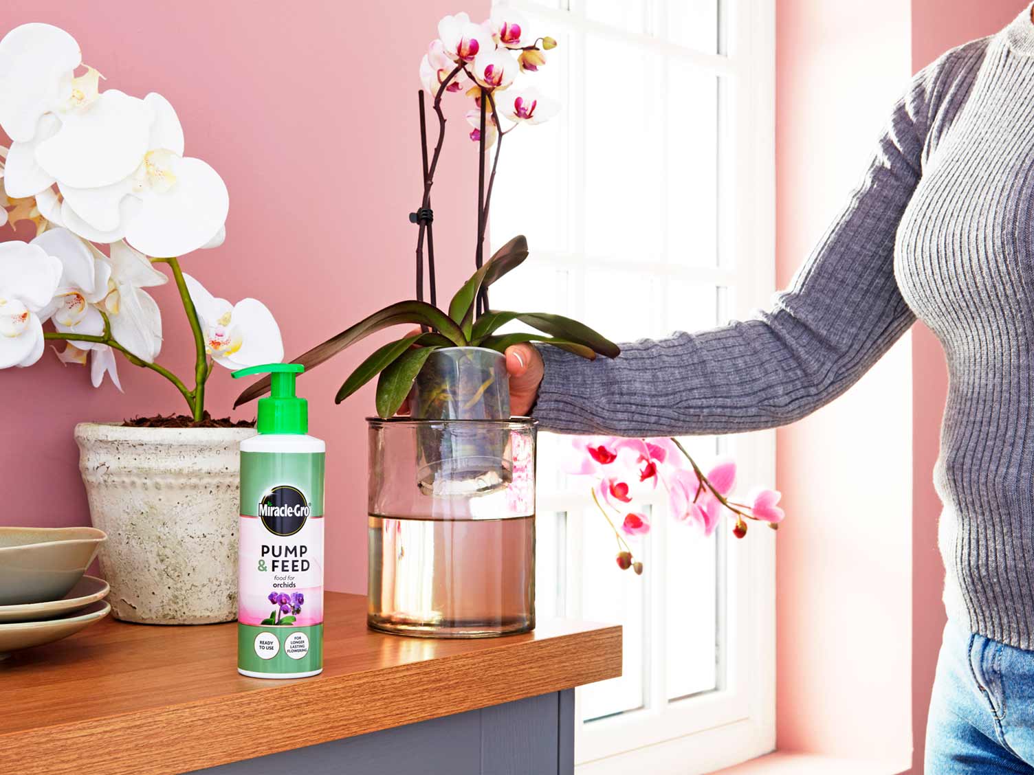 Watering orchids part two
