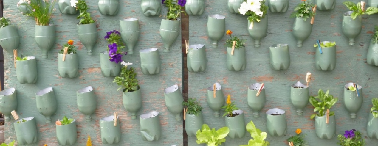 vertical_garden_ideas.jpg null