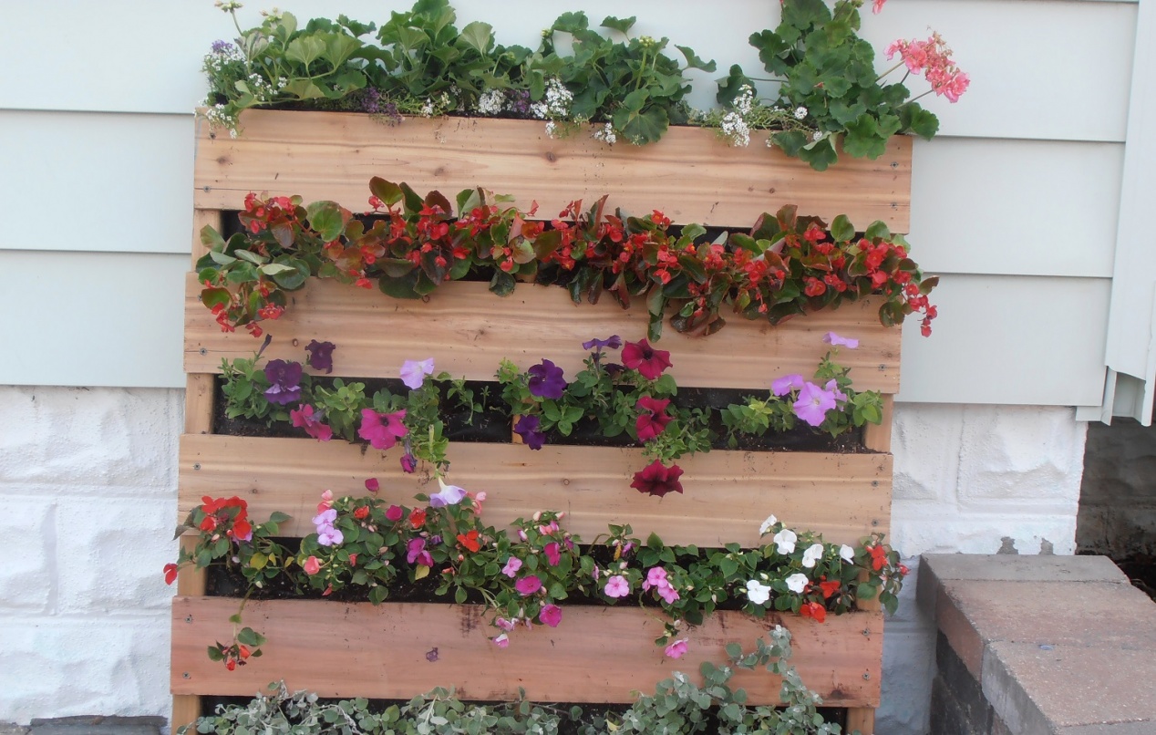 vertical_pallet_garden.jpg null
