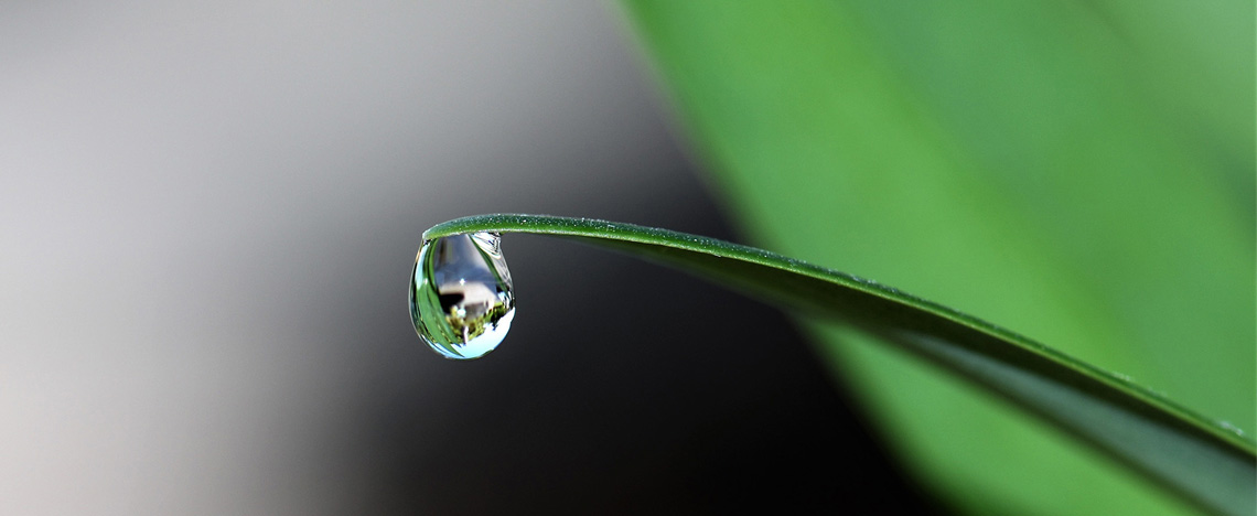 Watersmart Technologie uitgelegd - Love The Garden