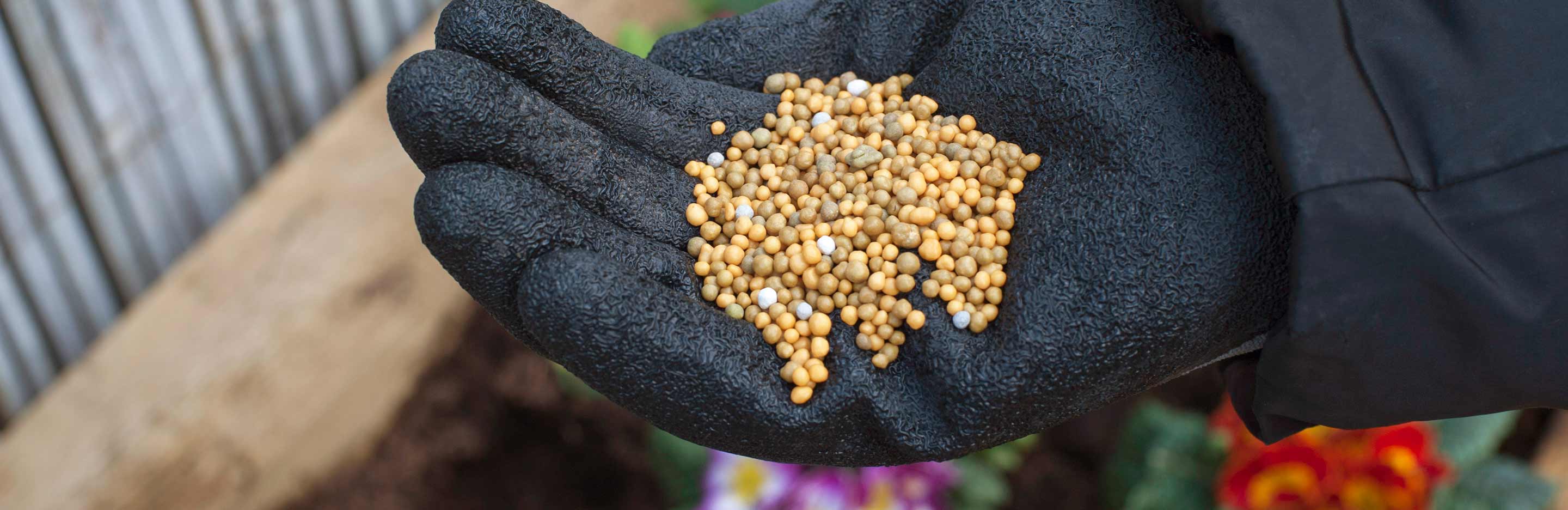 Why it’s important to feed your plants