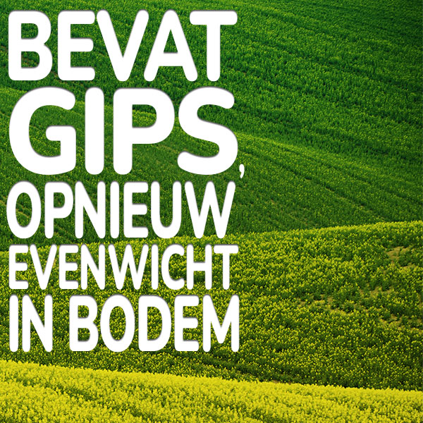bevat-gips-opnieuw-evenwicht-in-bodem.jpg Substral Patch Magic® bevat gips