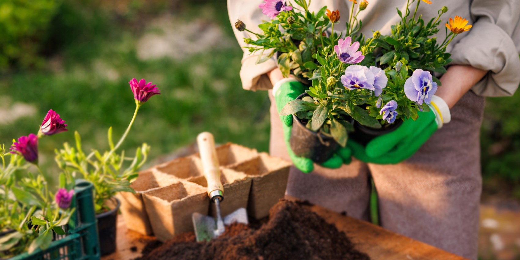 lovethegarden | Debco AU