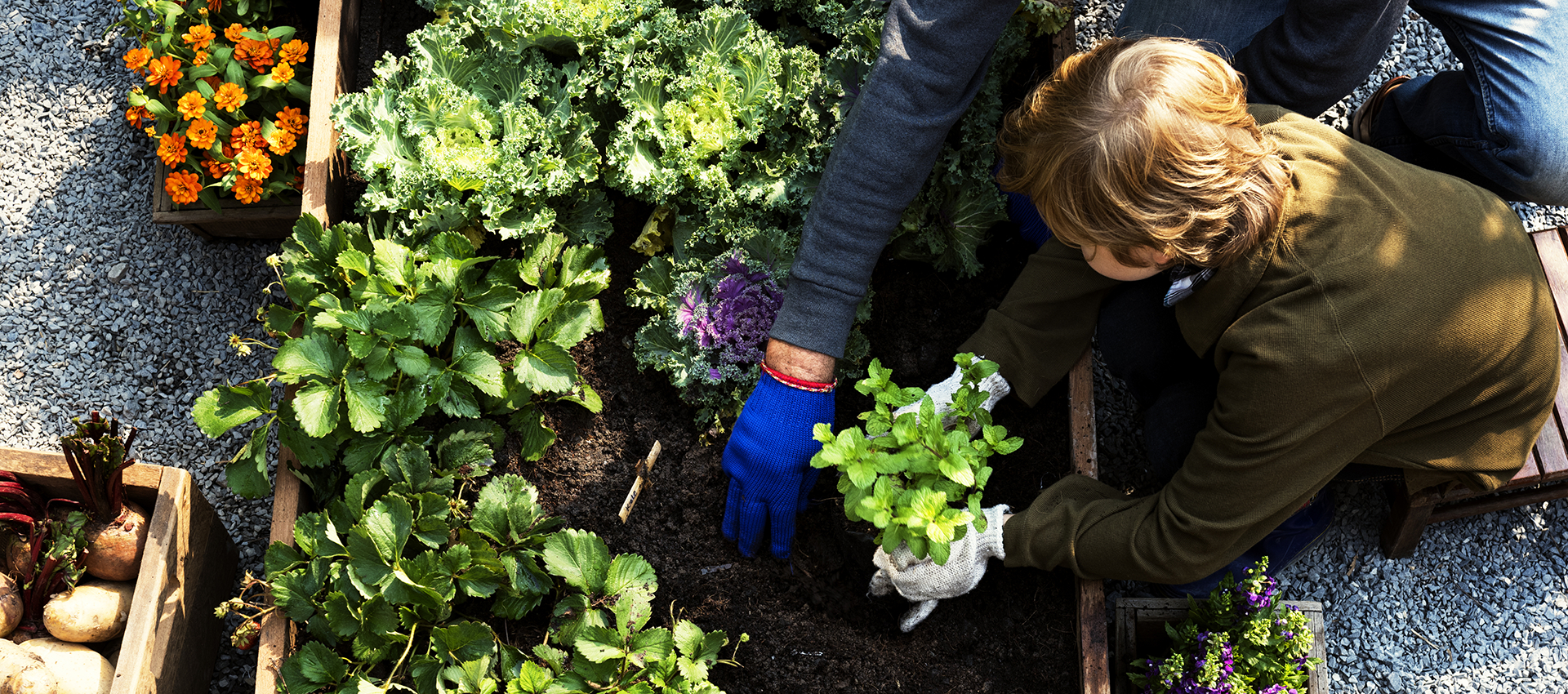 lovethegarden | Scotts NZ