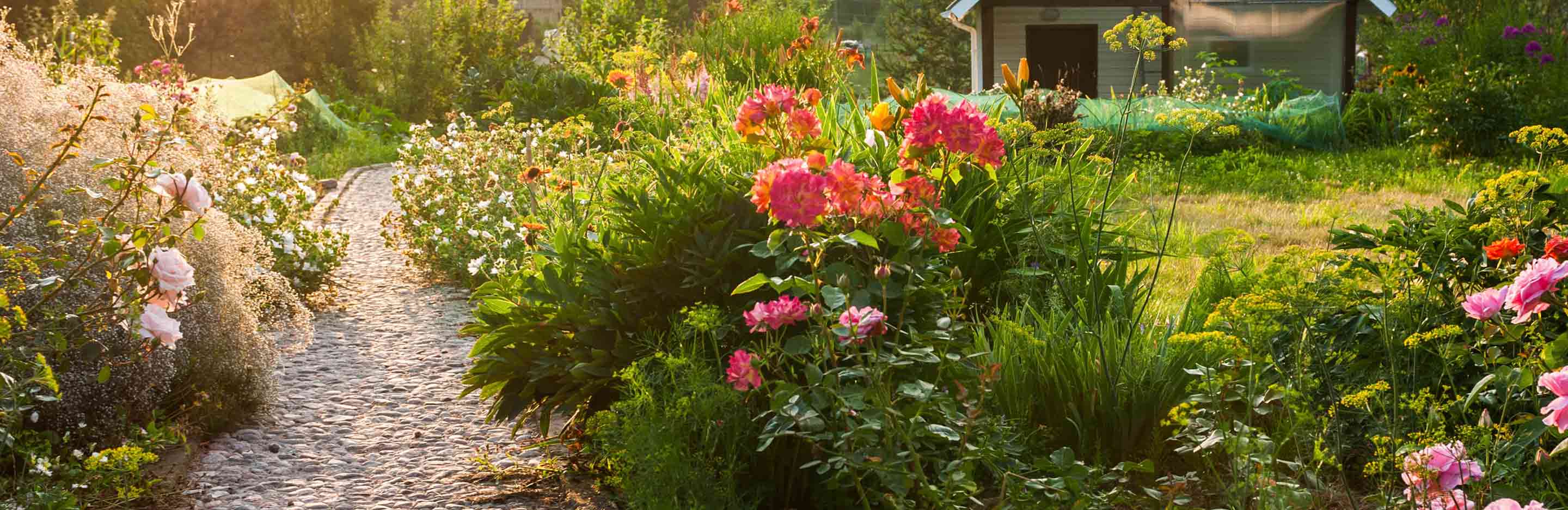 Defender banner image