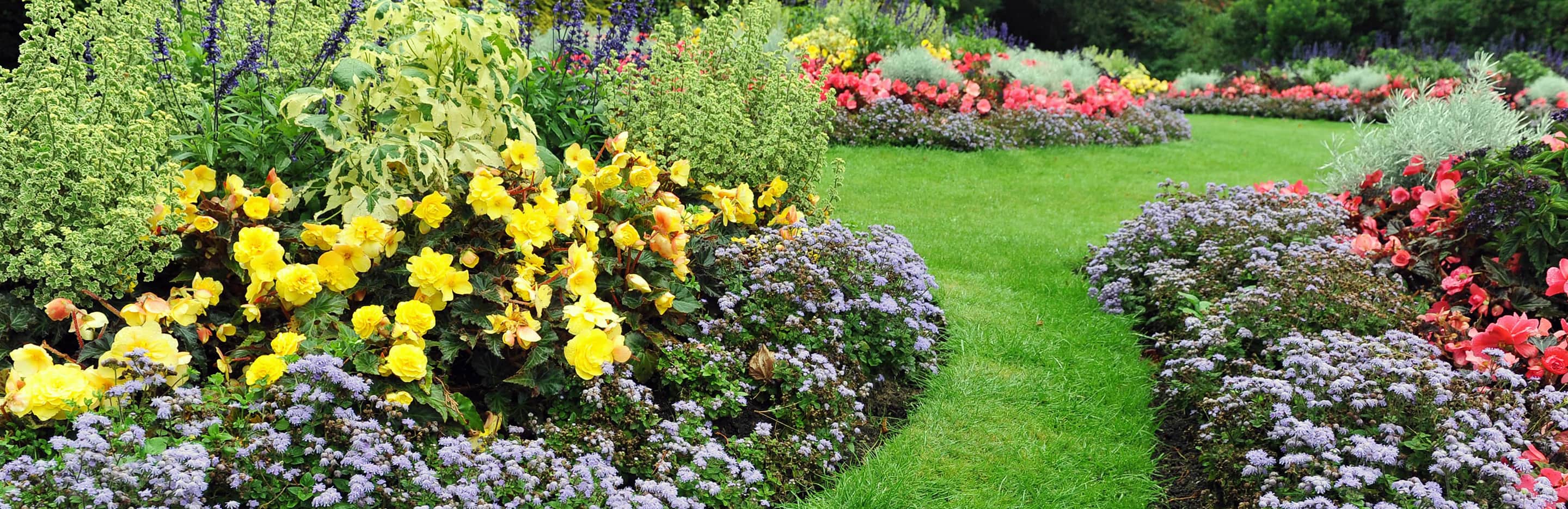Roundup La Pause Jardin