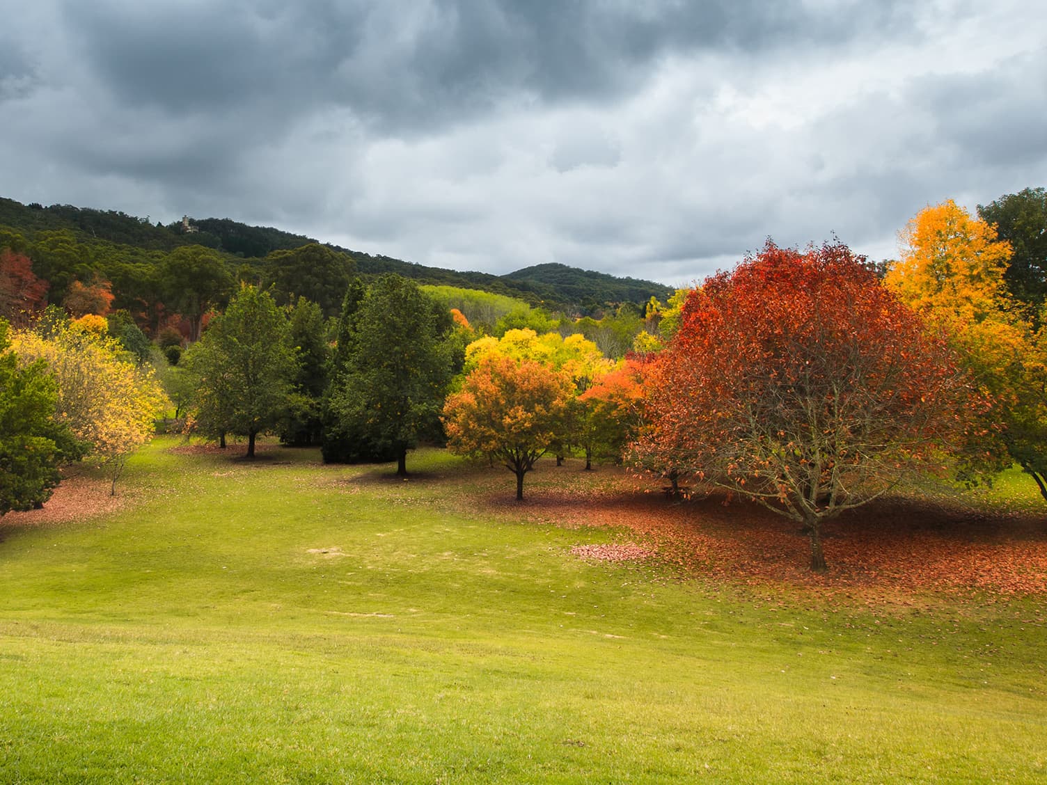 Image of a paddock