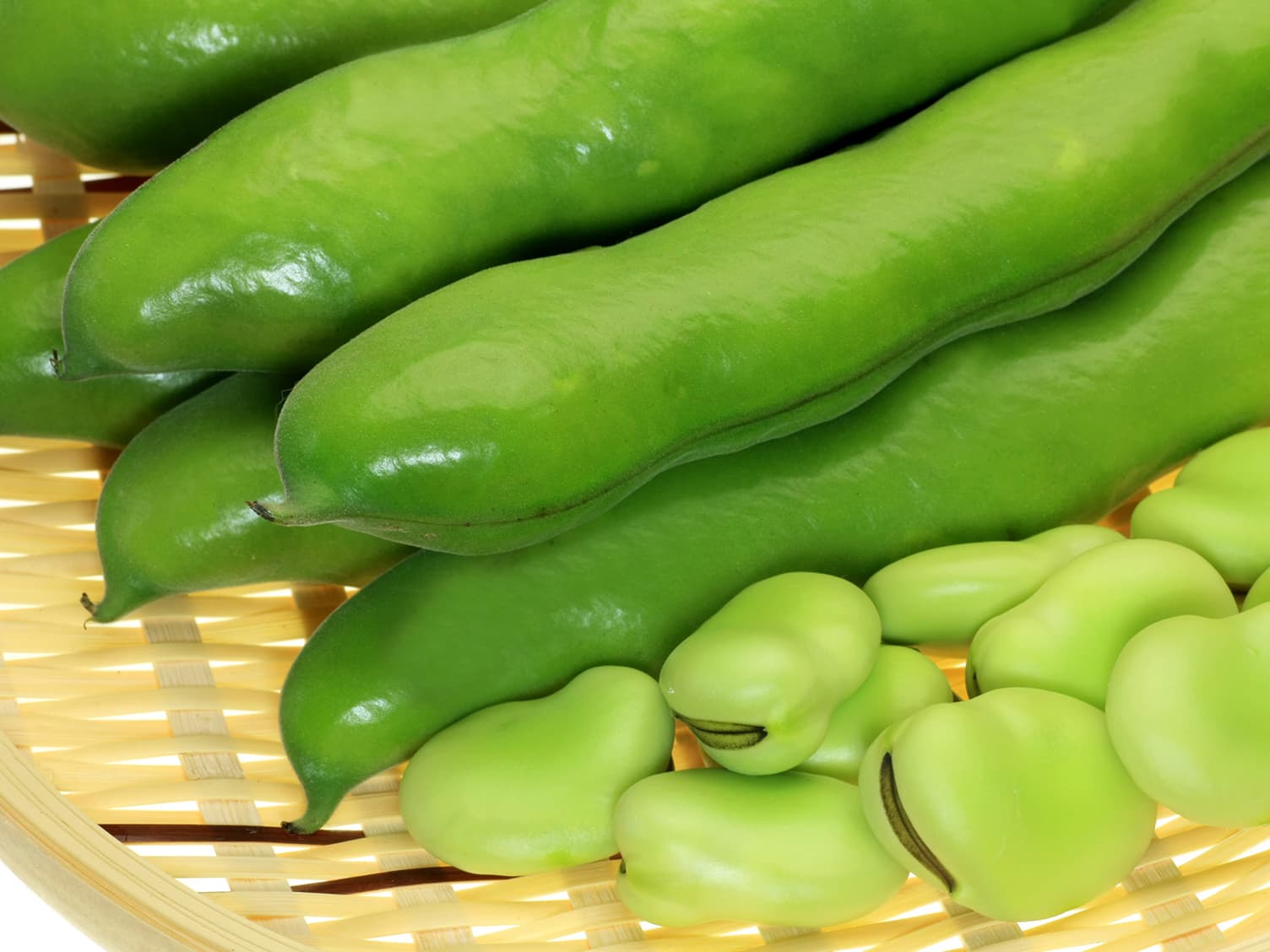 Beans in a plate