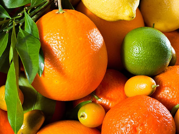 Bowl of mandarins, tangelos, grapefruit and lemons.