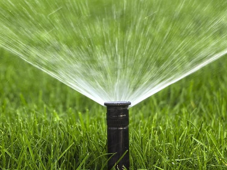 Sprinkler watering the lawn