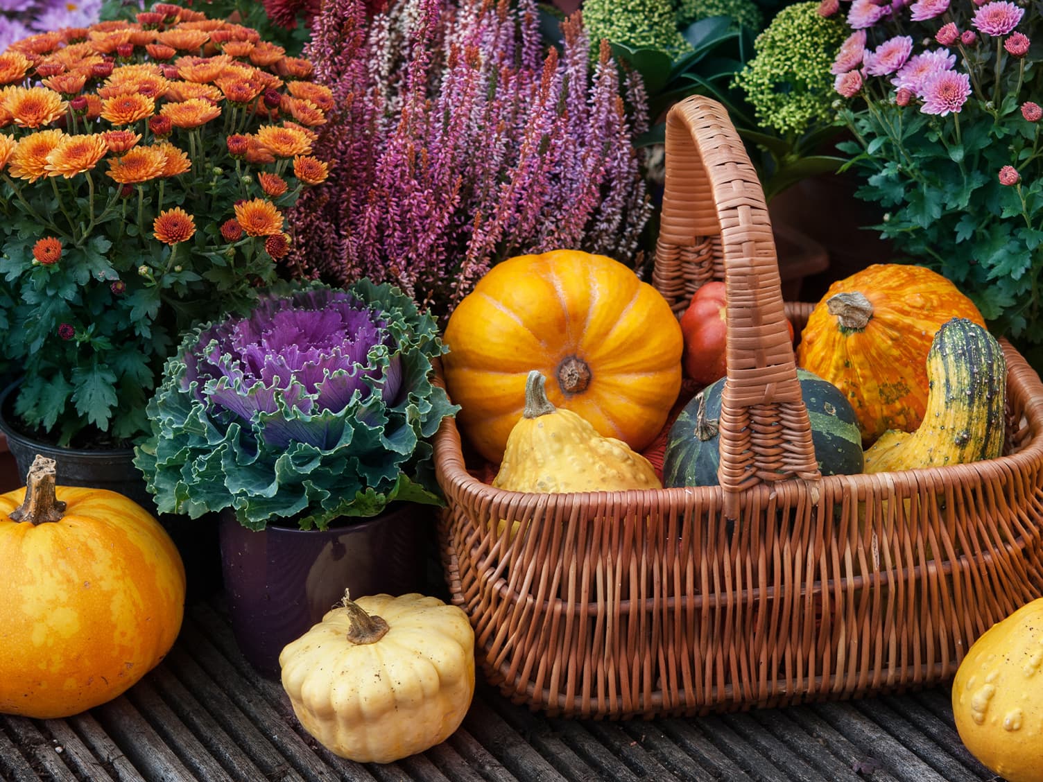 Pumpkins in a basket on the floor during autumn