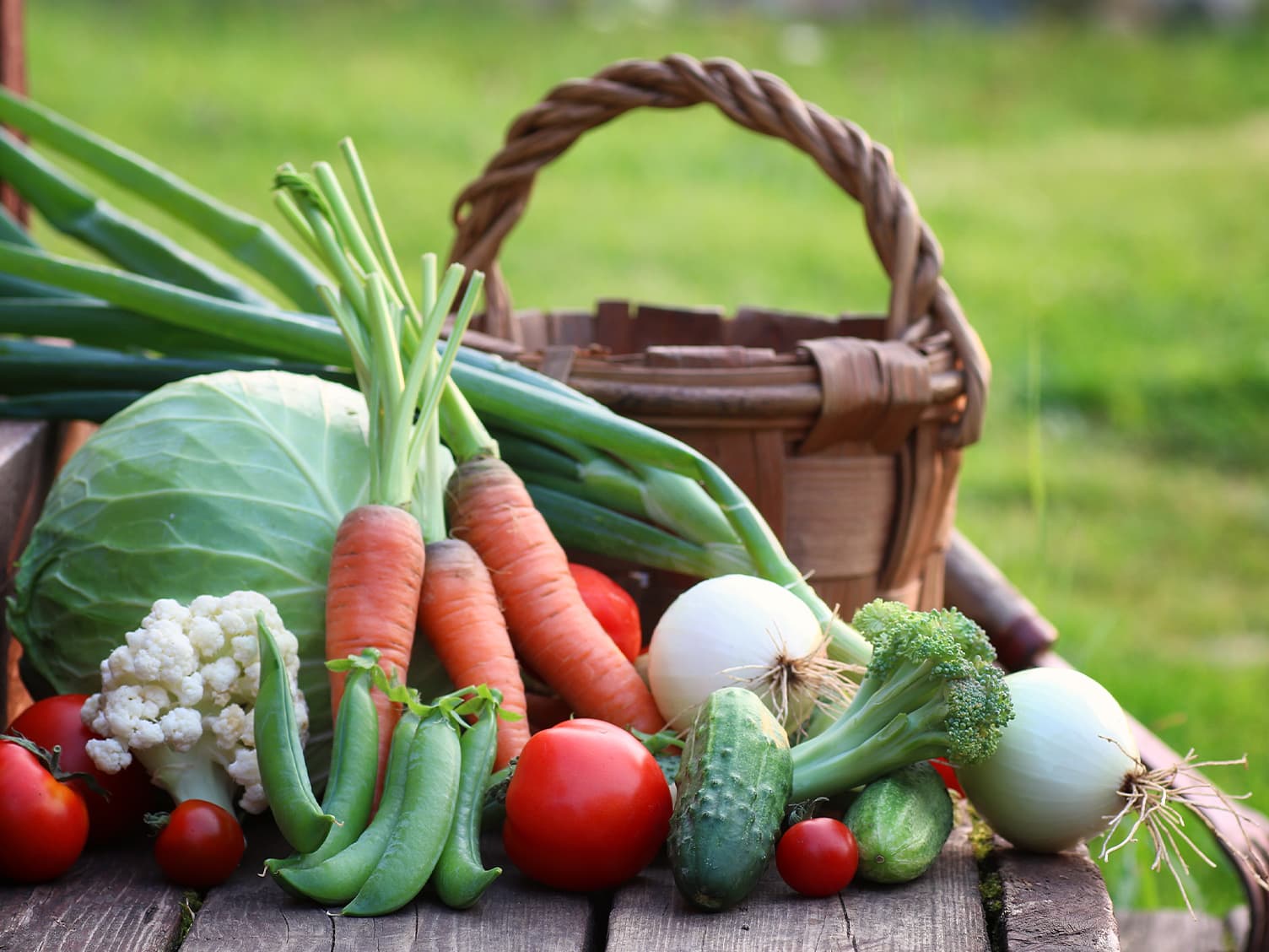 Basket of freshly grown vegetables