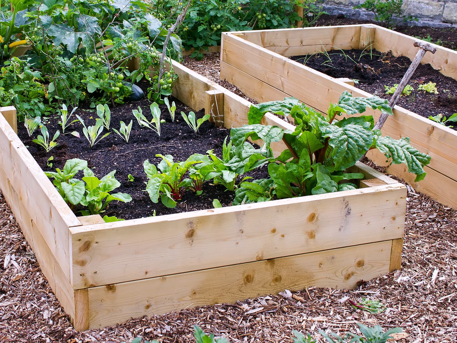 Two herb garden beds