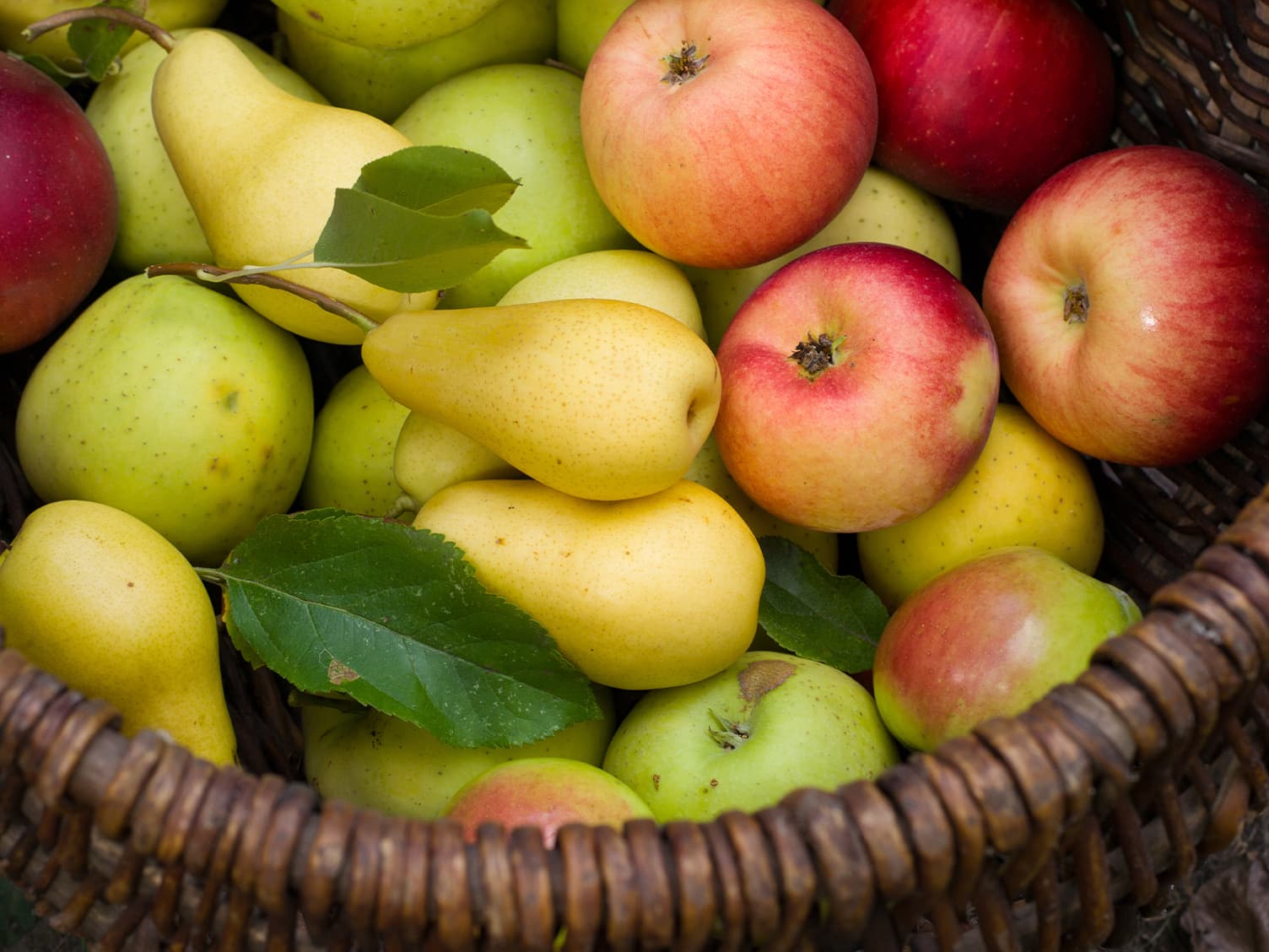 Freshly grown peaches and apples