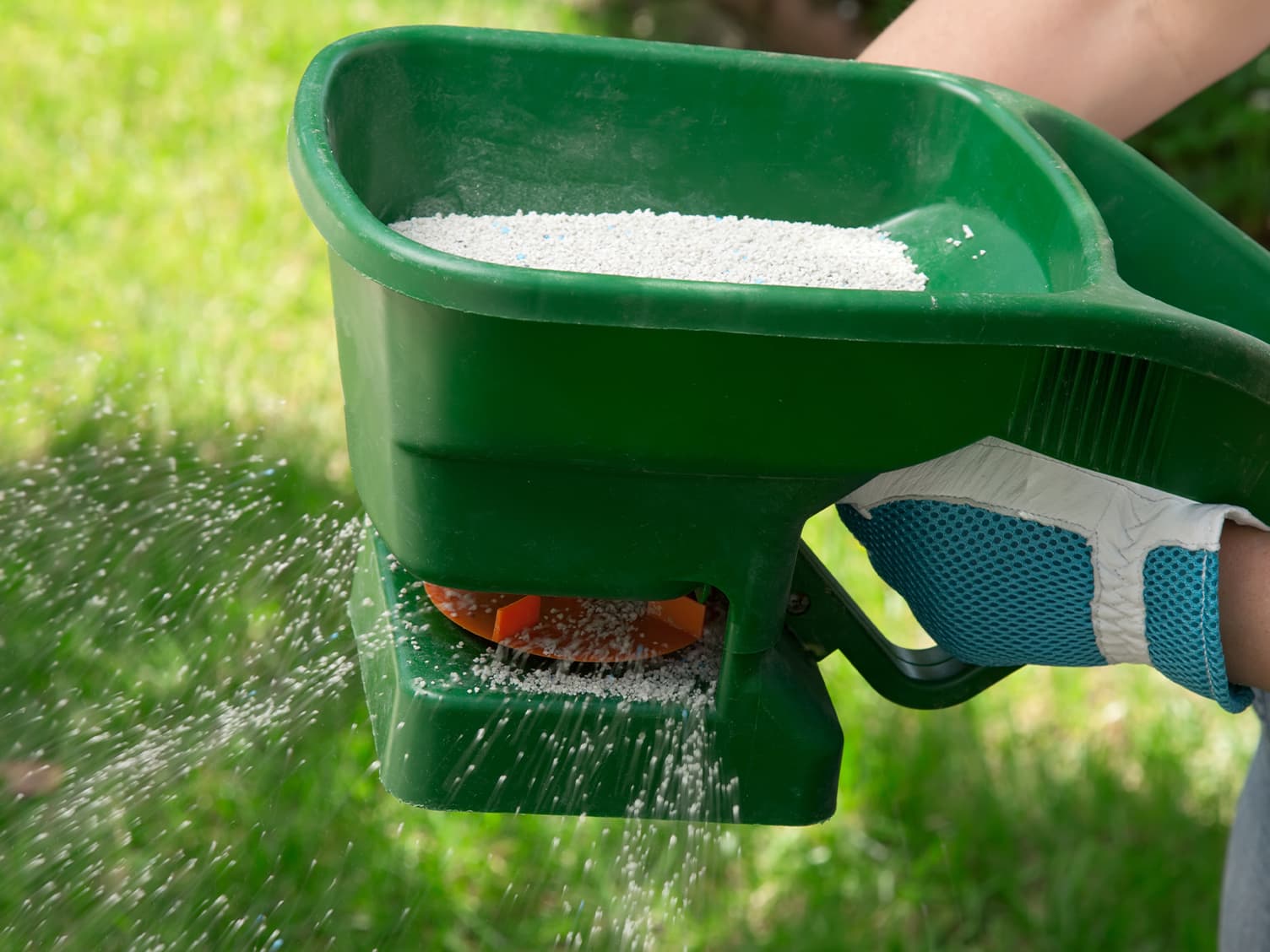 Person feeding their lawn