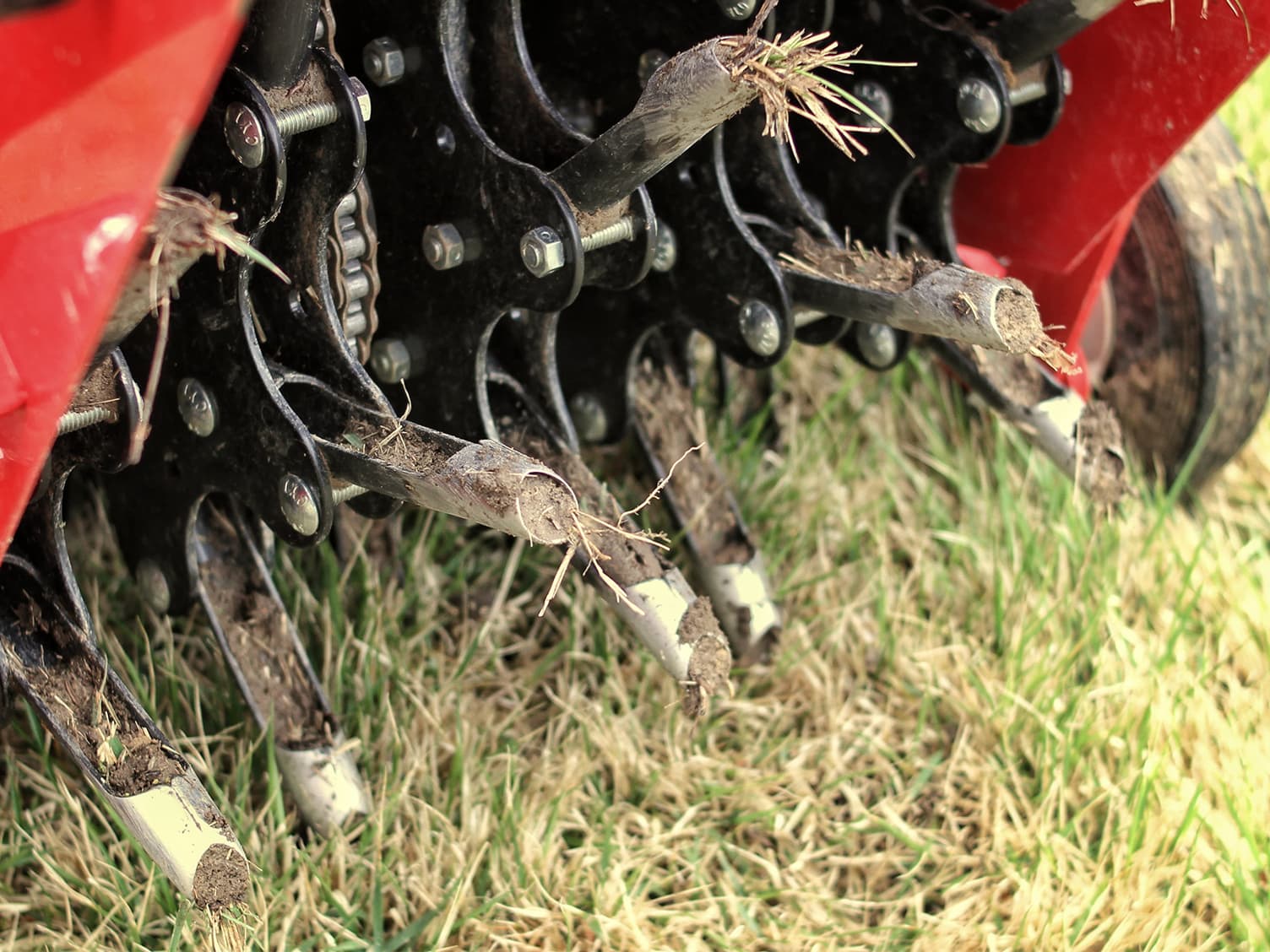 Mowing the lawn