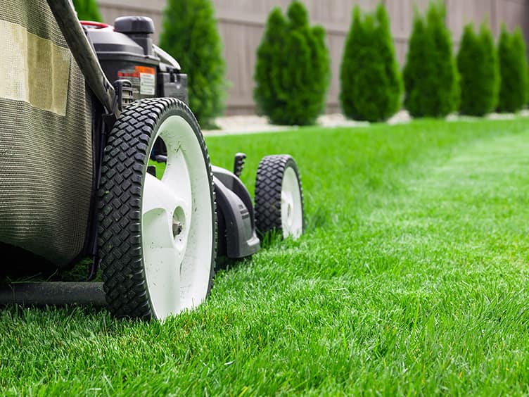 Person mowing the lawn