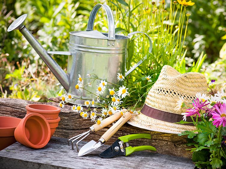 Hat and garden tools