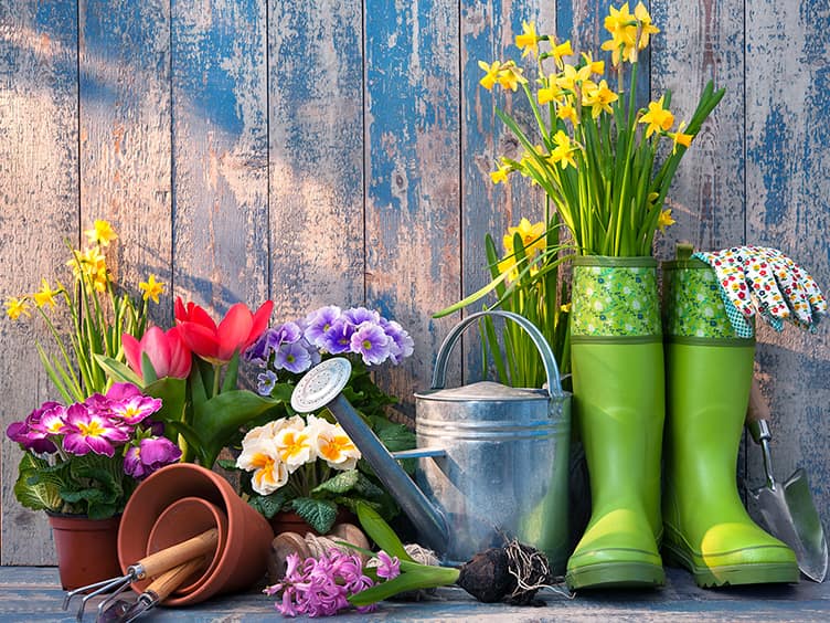 Watering can, gumboots and plants on the side of a walkway