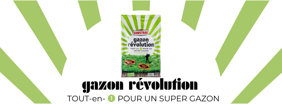 Substral Gazon Révolution - 4kg pour 80m²