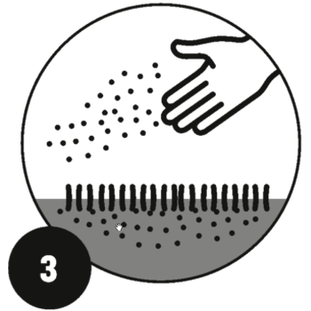 Toepassen Substral Gazonrevolutie, stap 3 Strooi Gazon Revolutie gelijkmatig.