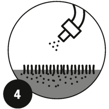 Toepassen Substral Gazonrevolutie, stap 4 Geef water als het niet regent binnen 48u.