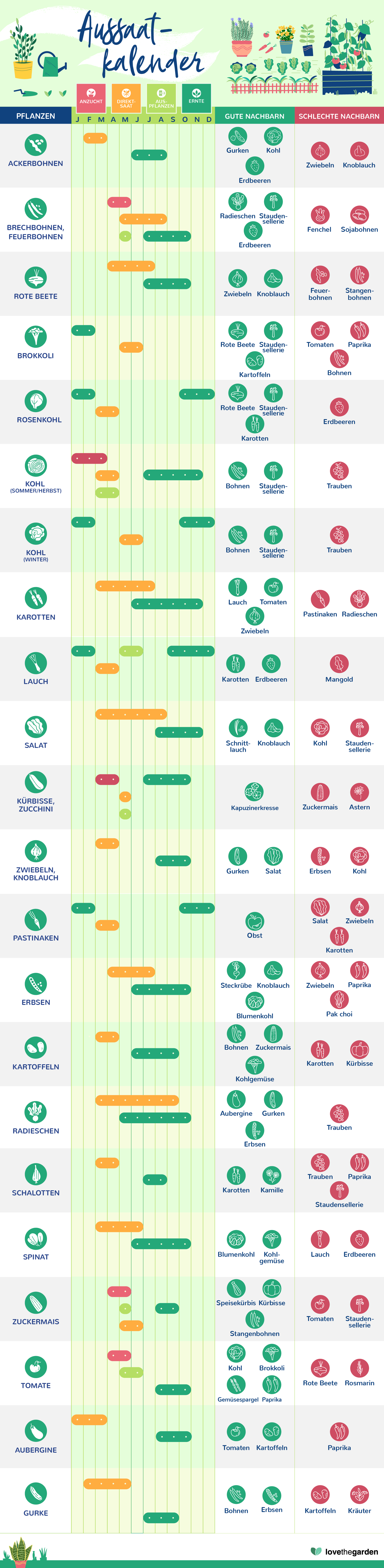 Aussaatkalender für Gemüse & Obst | Liebe Deinen Garten