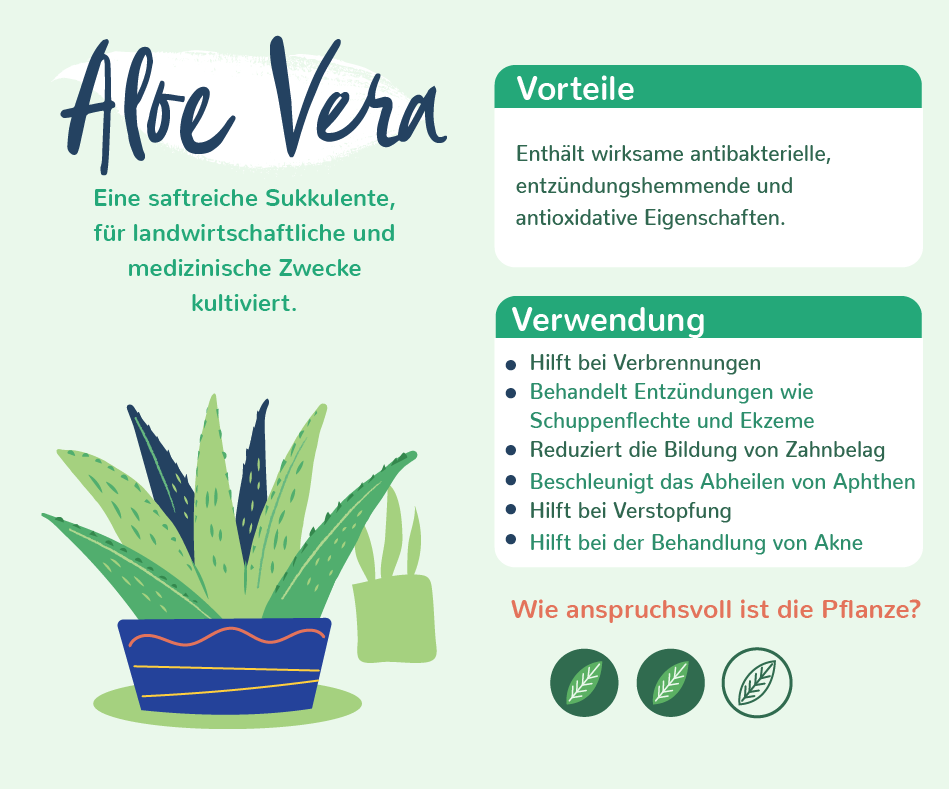 Eigenschaften Aloe Vera 