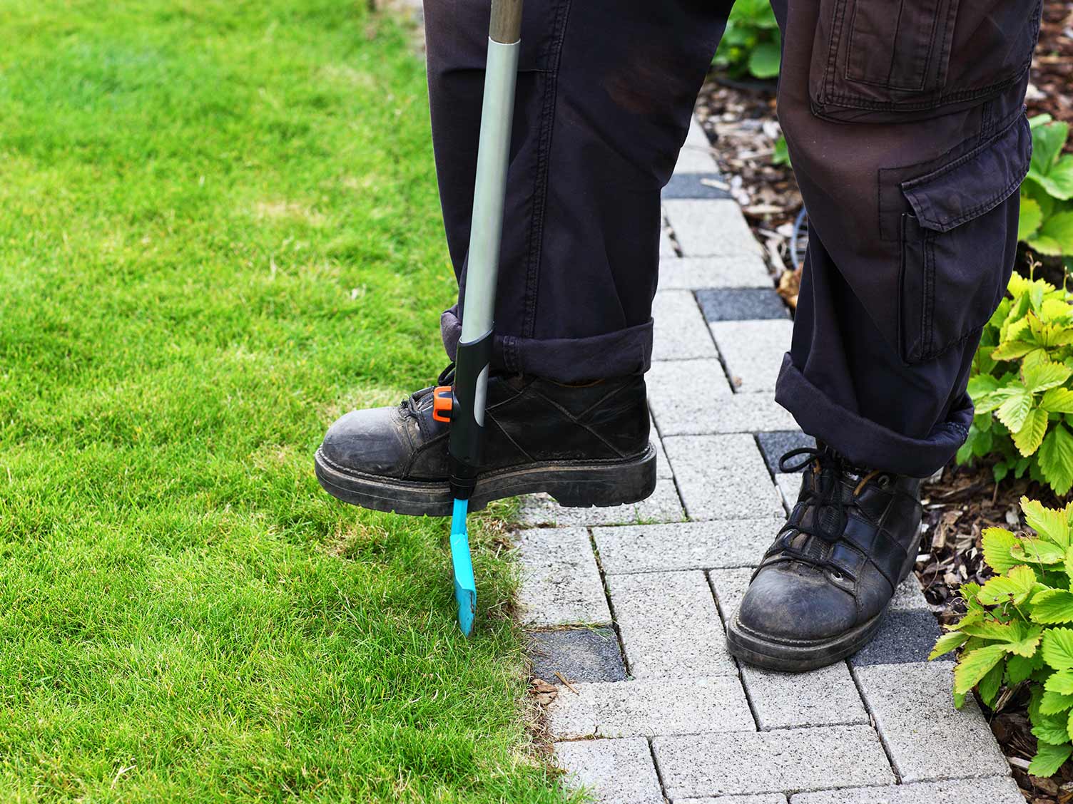 lawn-edging-tool.jpg Using a lawn edging tool