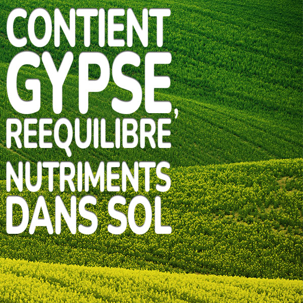 contient-gypse-reequilibre-nutriments-dans-sol.jpg Substral Patch Magic® contient fixation speciale pousse sur pente
