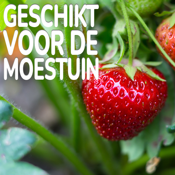 geschikt-voor-de-moestuin.jpg KB® Limex Ultimo geschikt voor de moestuin