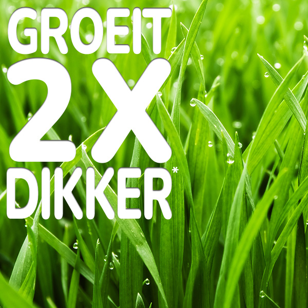groeit-2x-dikker.jpg Substral Patch Magic® groeit 2x dikker