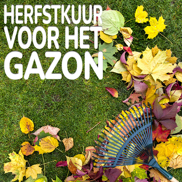 herfstkuur-voor-het-gazon.jpg Substral Biofert gazonmeststof herfstkuur voor het gazon