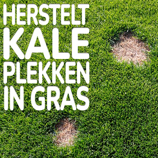 herstelt-kale-plekken-in-gras.jpg Substral gazonherstel 2 in 1 herstelt uw kale plekken