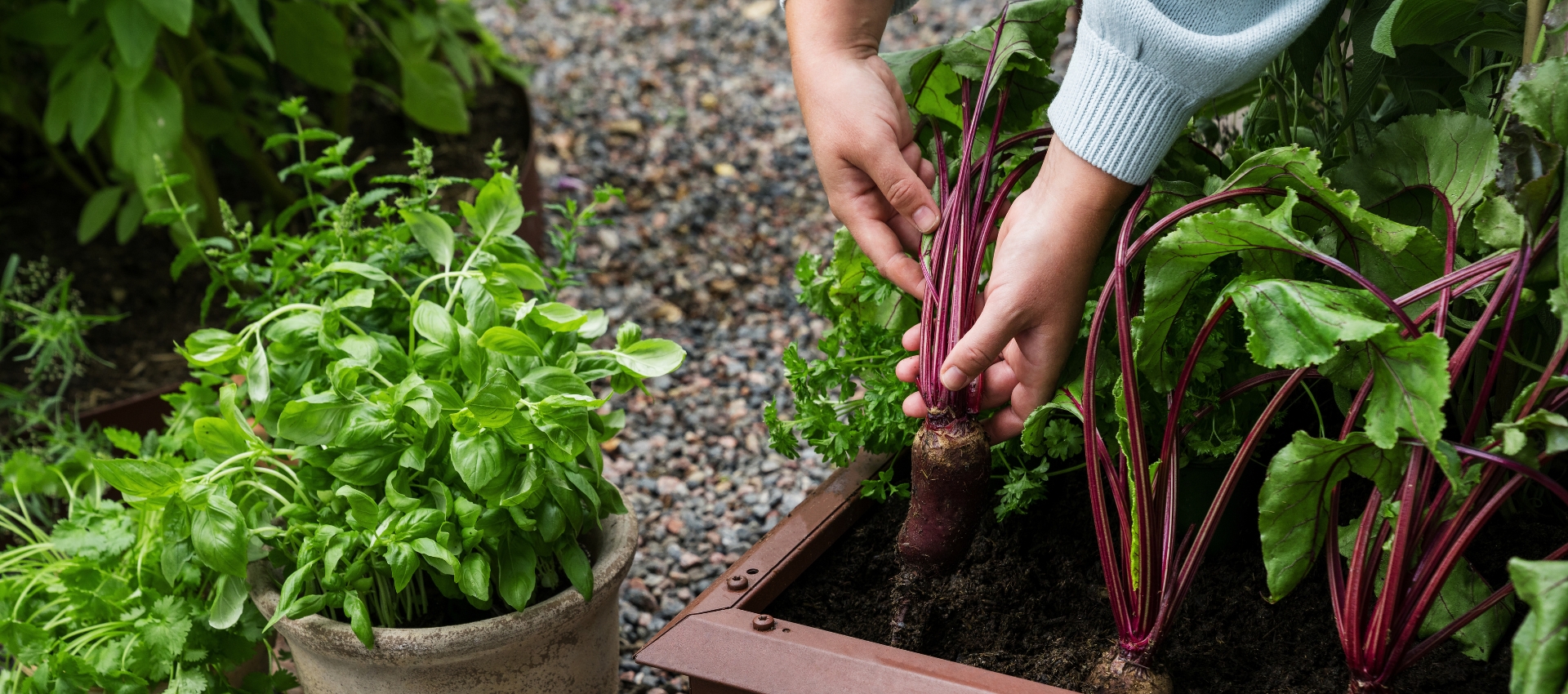 Love The Garden | Substral