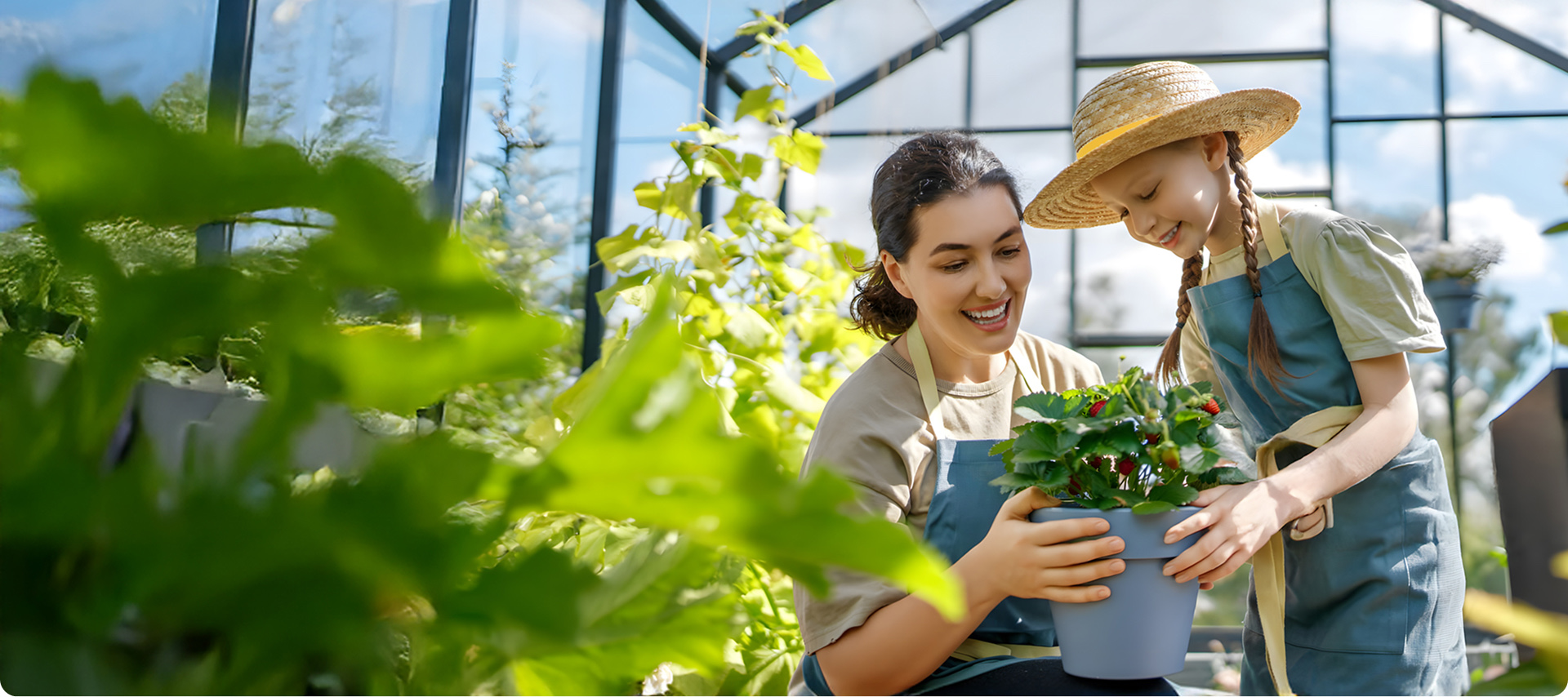 Love The Garden | Miracle Gro