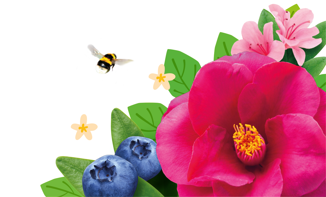 Conseils et faits divers sur le jardinage